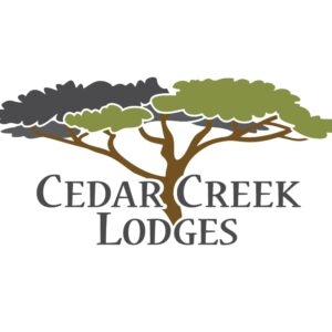 Logo 6